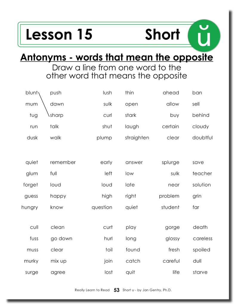 Really Learn to Read - Short u Reading Activity Workbook