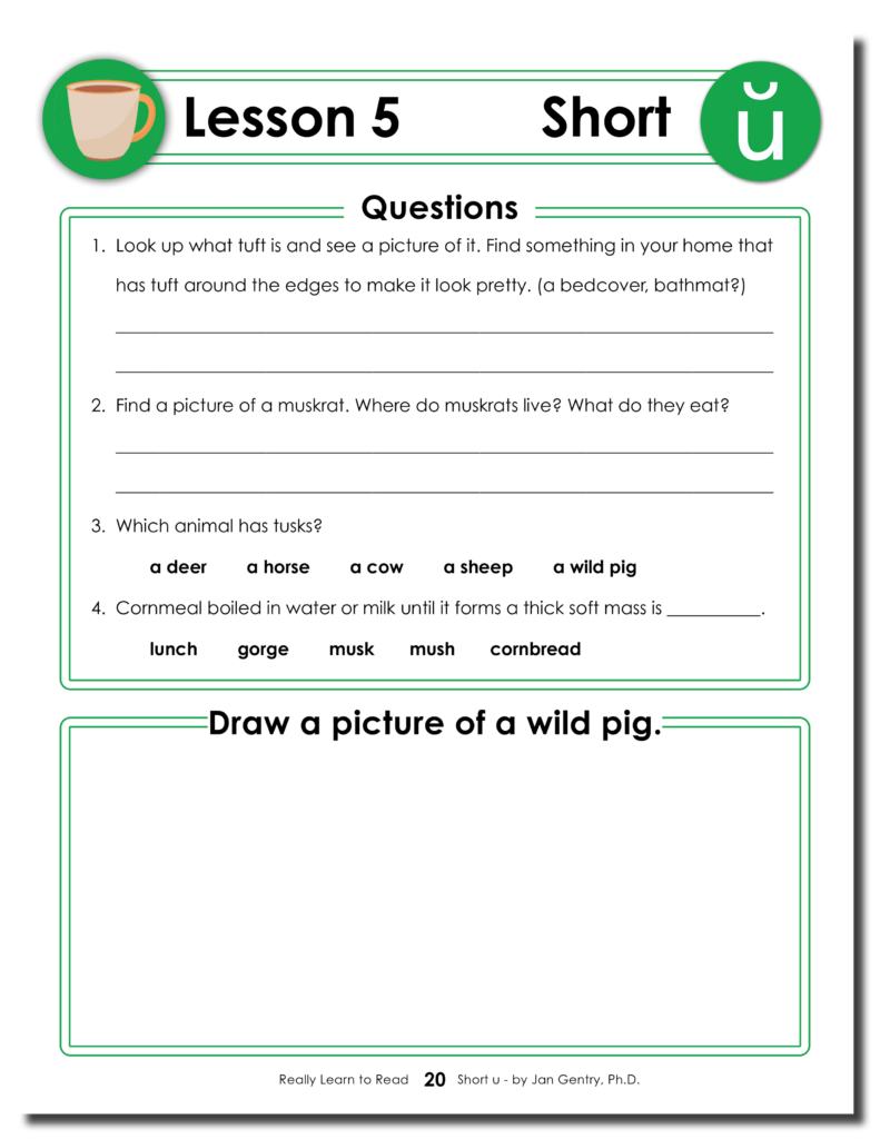 Really Learn to Read - Short u Reading Activity Workbook